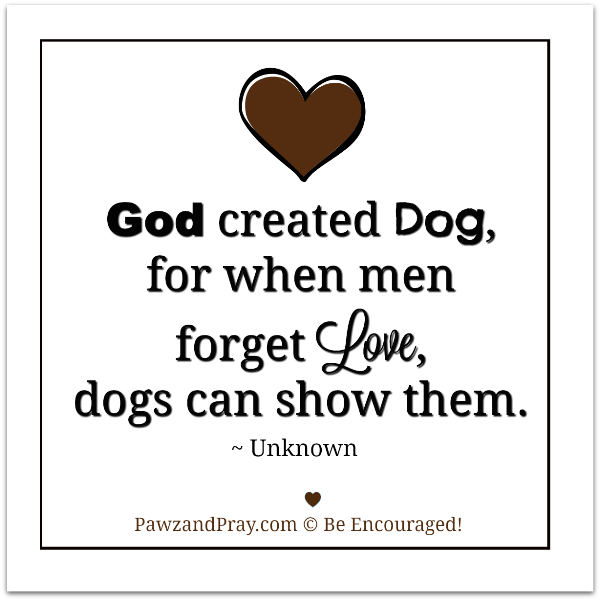 Why did God create dogs?
