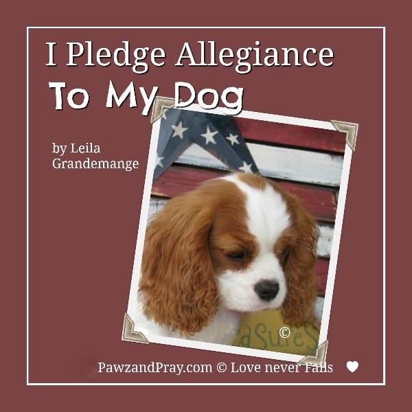 inspirational dog article