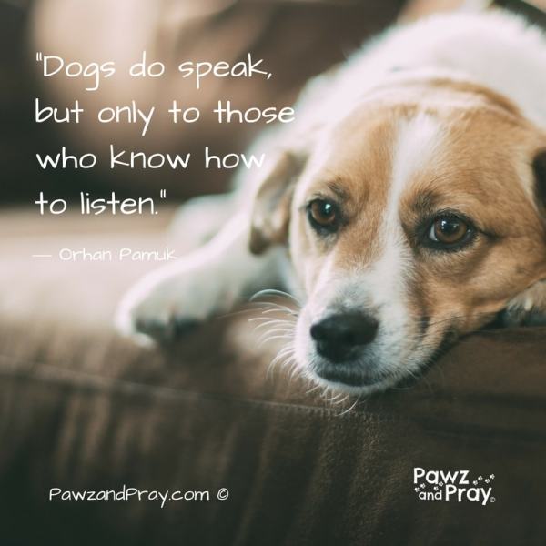 dogs speak