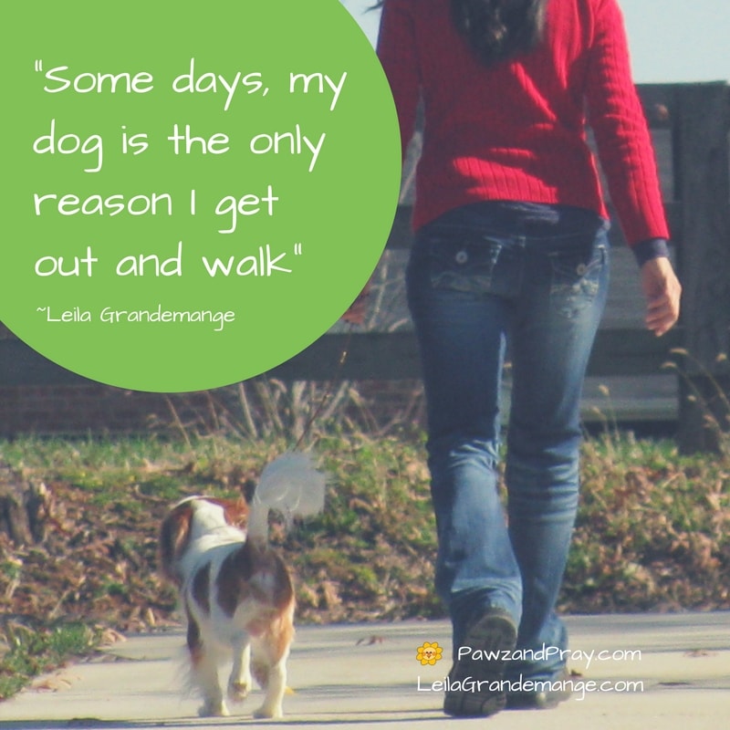 Dogs give us a reason to walk