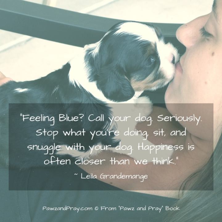 Feeling Blue? Find out why dogs make us happy.