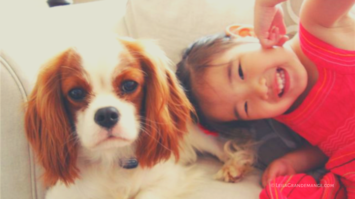 How to Help Children Learn responsible Dog Ownership [Books and Resources]